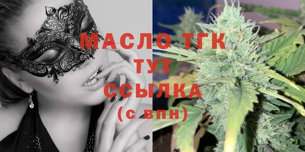 СК Алексин