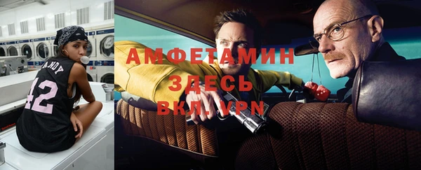 СК Алексин