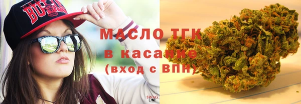 СК Алексин